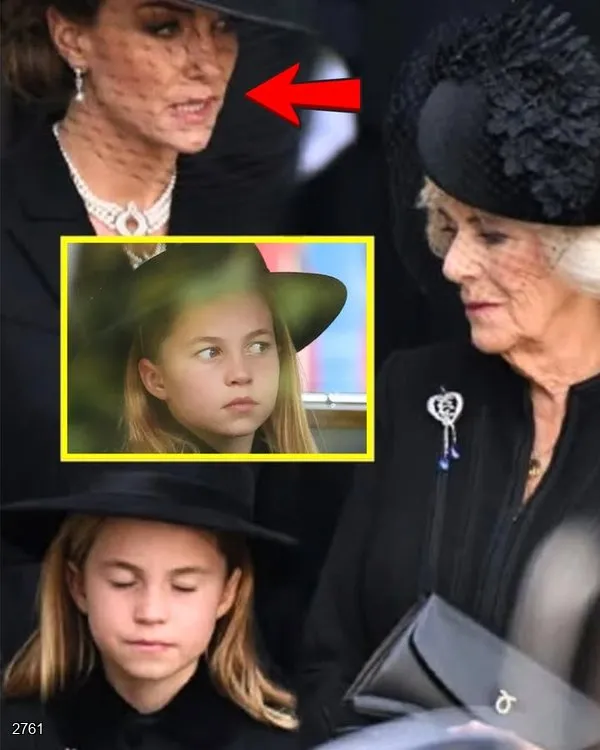 576521813_122138599652943197_3340262275439647222_n-1762329952-q80