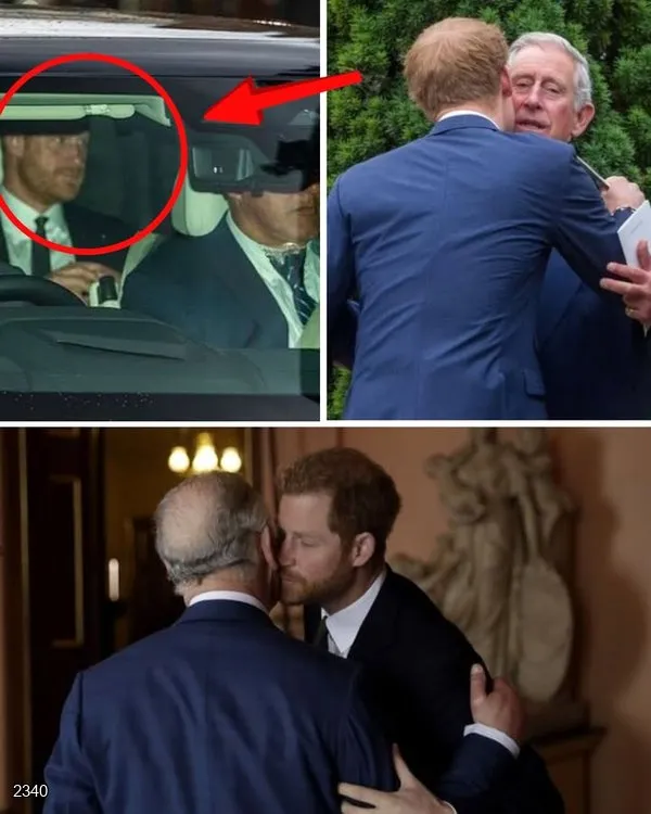 577027125_122138506064943197_8287161496513396523_n-1762330388-q80