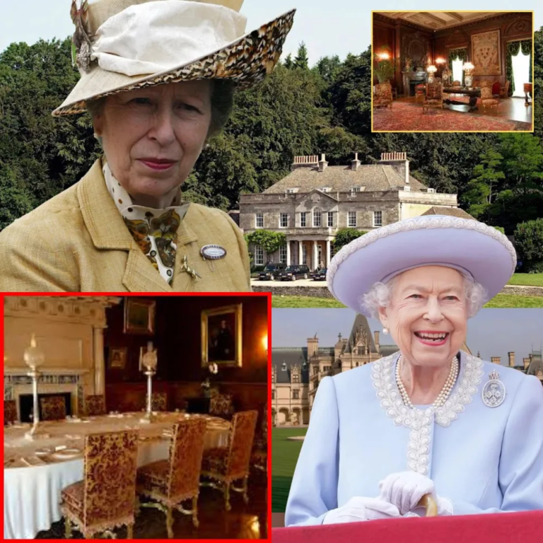 578274747_122144850062730890_2693239600322599450_n-1762676427-q80-1