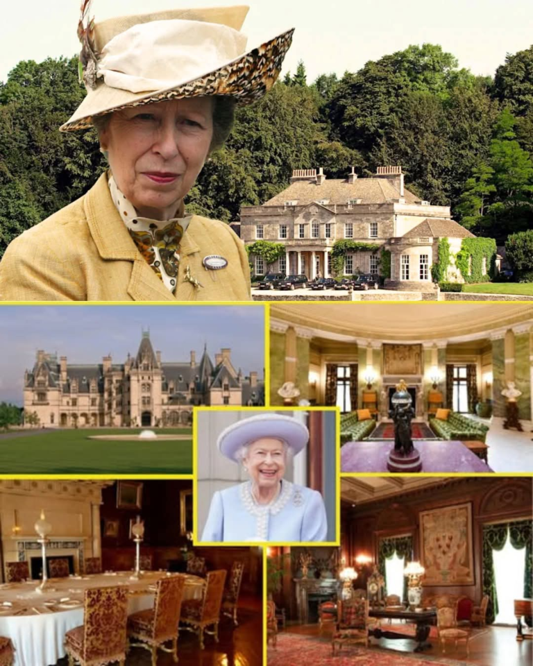 FB_IMG_1762601875411