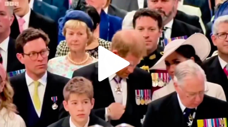 InShot_20251130_134102988