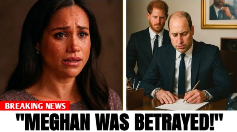 Screenshot_20251108_125634_Opera