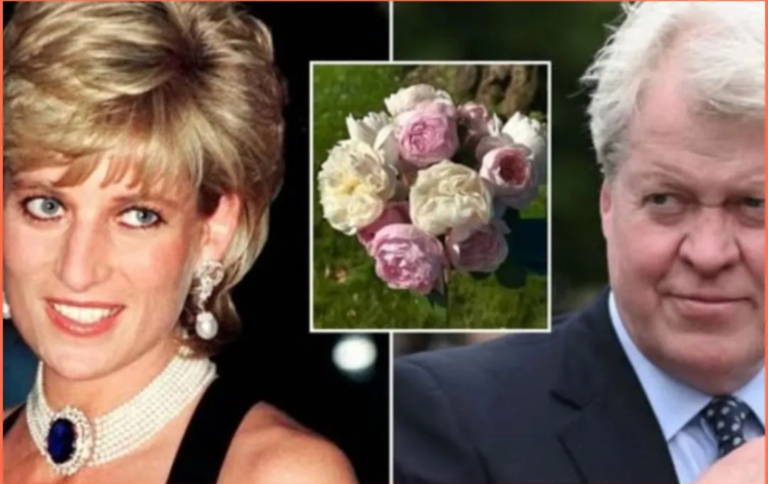 Screenshot_20251112-111836_Opera Mini