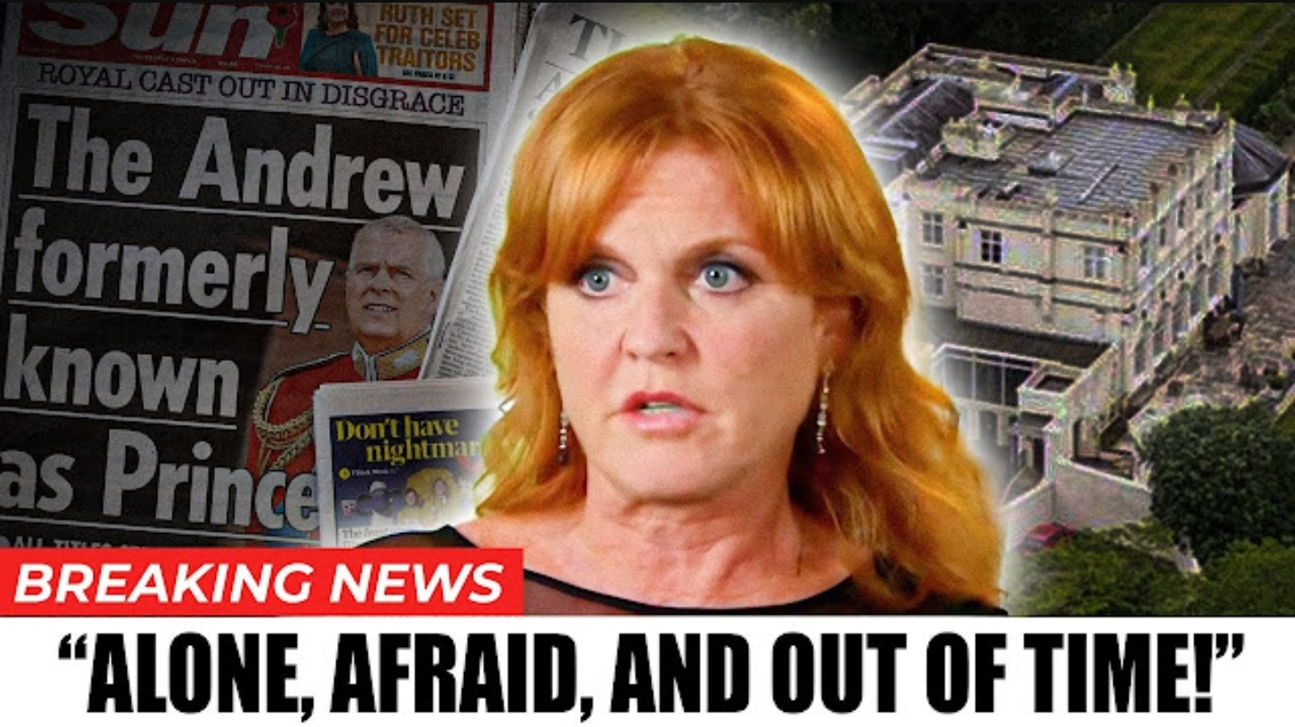 Screenshot_20251112-175217_Opera Mini