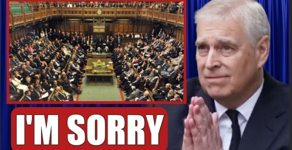 Screenshot_20251113-062924_Opera Mini