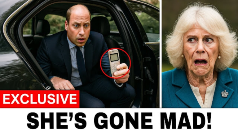 Screenshot_20251113-134221_Opera Mini