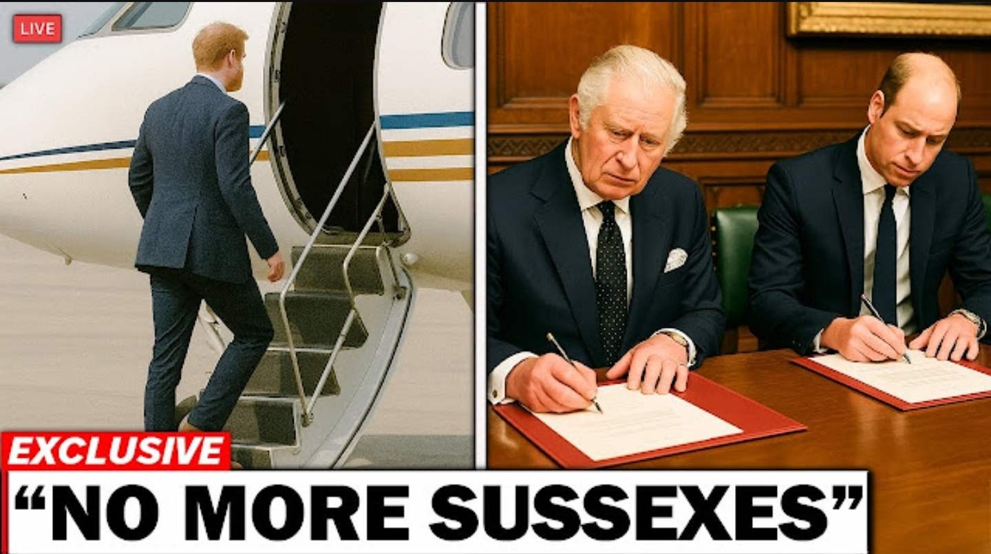 Screenshot_20251114-073825_Opera Mini