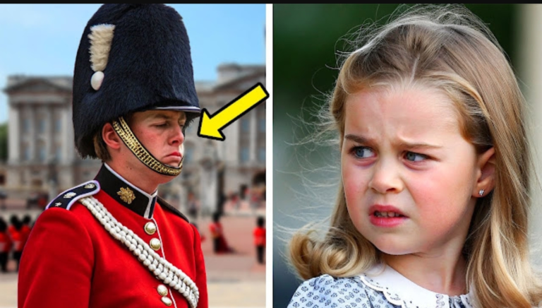 Screenshot_20251114-120845_Opera Mini