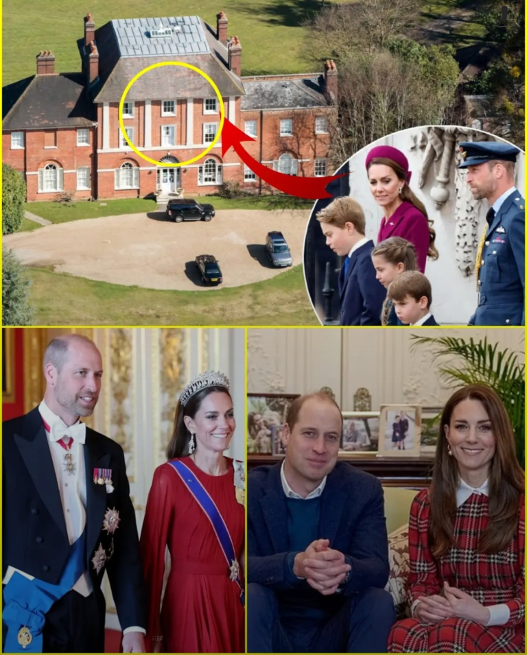 Screenshot_20251115-193928_Lite