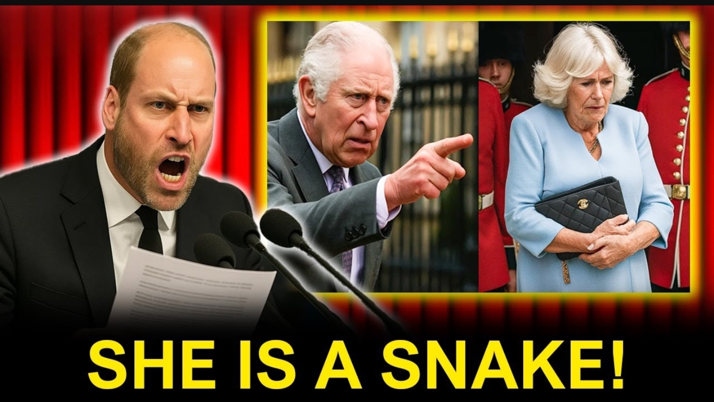 Screenshot_20251116-094849_Opera Mini