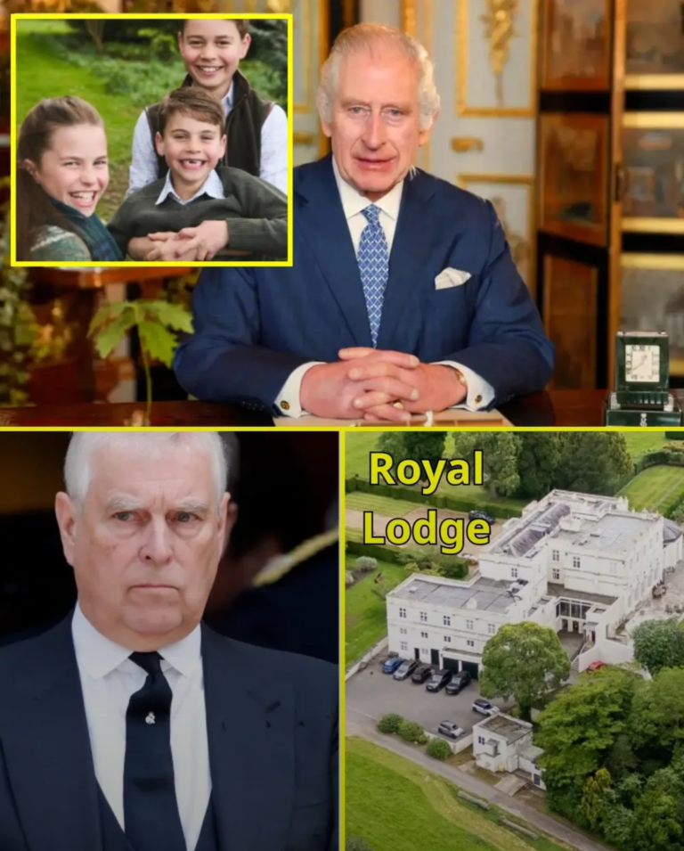 Screenshot_20251116-105936_Lite