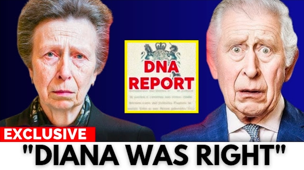 Screenshot_20251116_042833_Opera