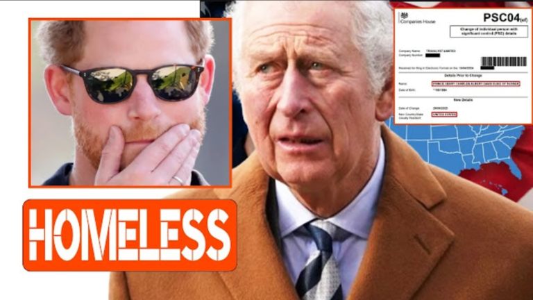 Screenshot_20251119-133519_Opera Mini