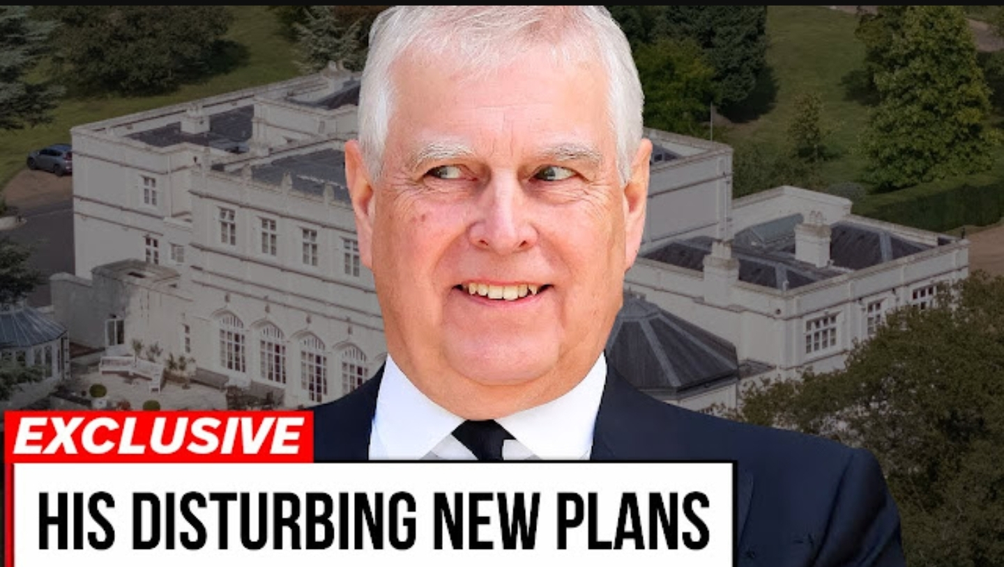 Screenshot_20251119-202027_Opera Mini