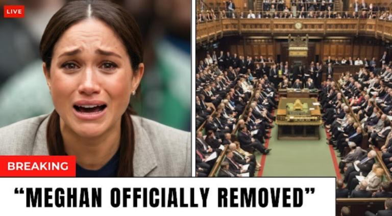 Screenshot_20251119-202315_Opera Mini