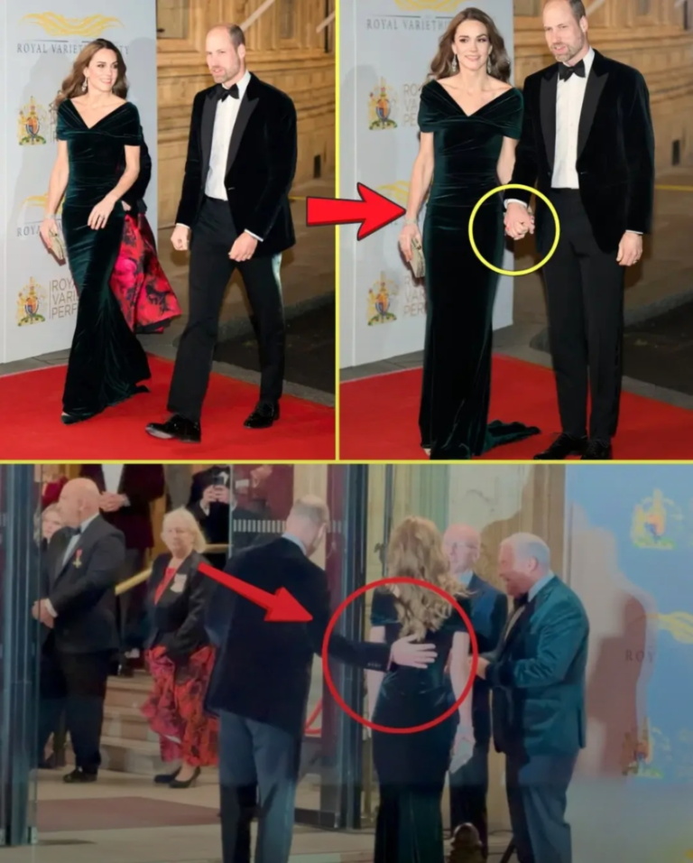 Screenshot_20251120-094019_Lite