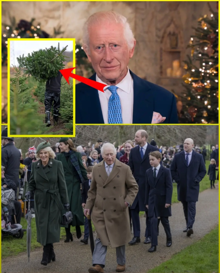 Screenshot_20251120-101327_Lite