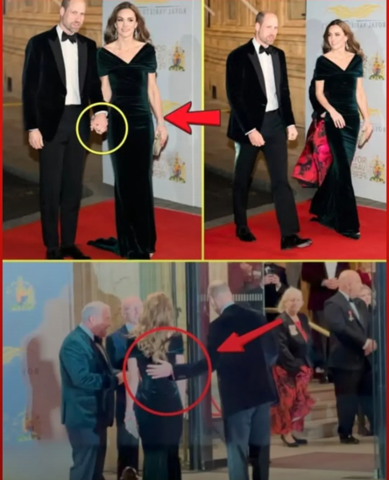 Screenshot_20251120-123350_Lite