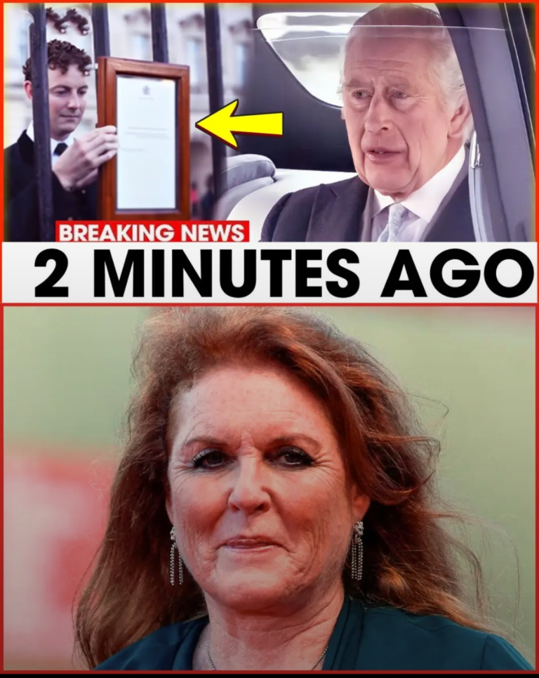 Screenshot_20251120-201219_Lite