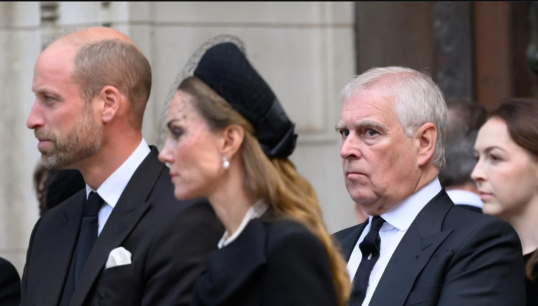 Screenshot_20251121-123622_Opera Mini