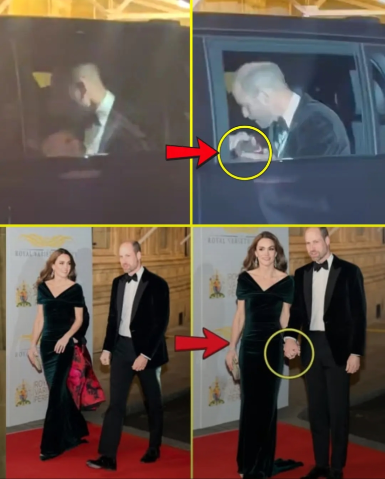 Screenshot_20251121-124656_Lite