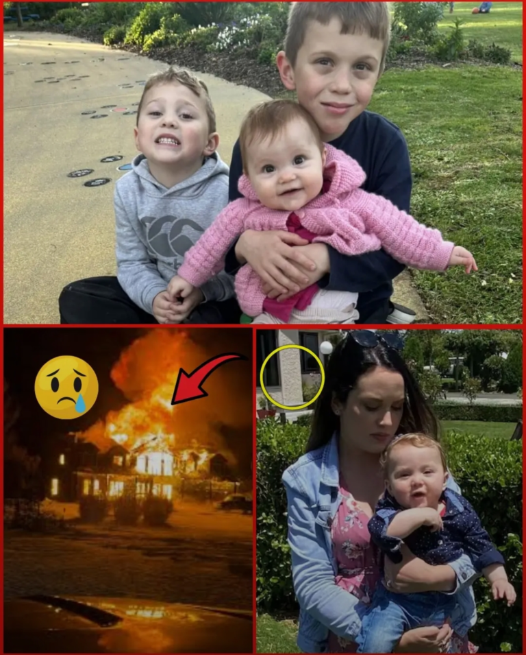 Screenshot_20251121-134203_Lite