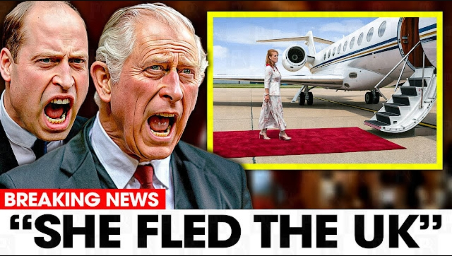 Screenshot_20251123-085217_Opera Mini