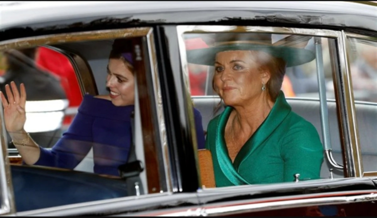 Screenshot_20251124-085757_Opera Mini