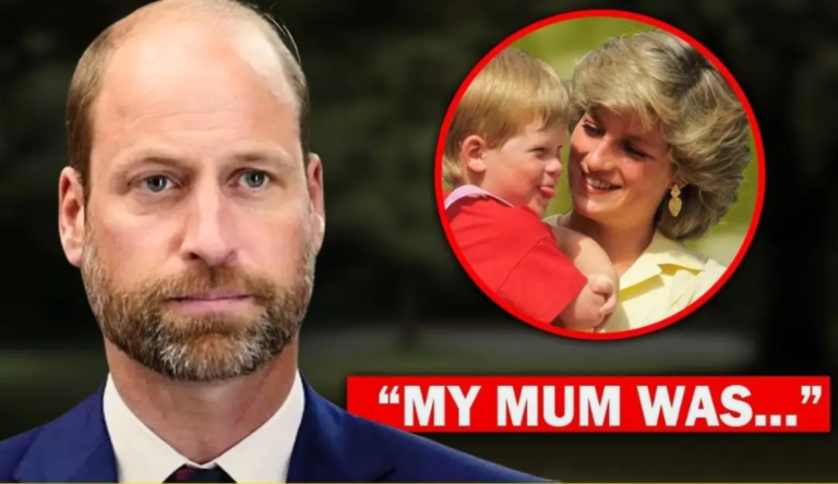 Screenshot_20251124-132040_Lite