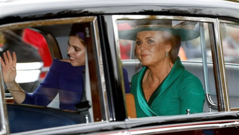 Screenshot_20251125-132549_Opera Mini