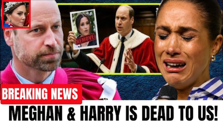 Screenshot_20251125-135316_Opera Mini