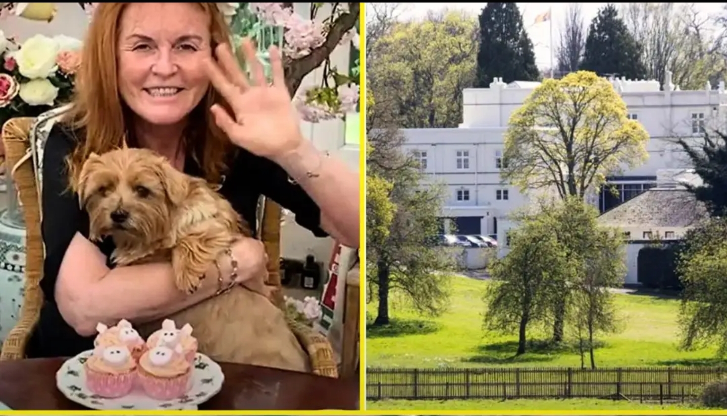 Screenshot_20251126-125445_Lite