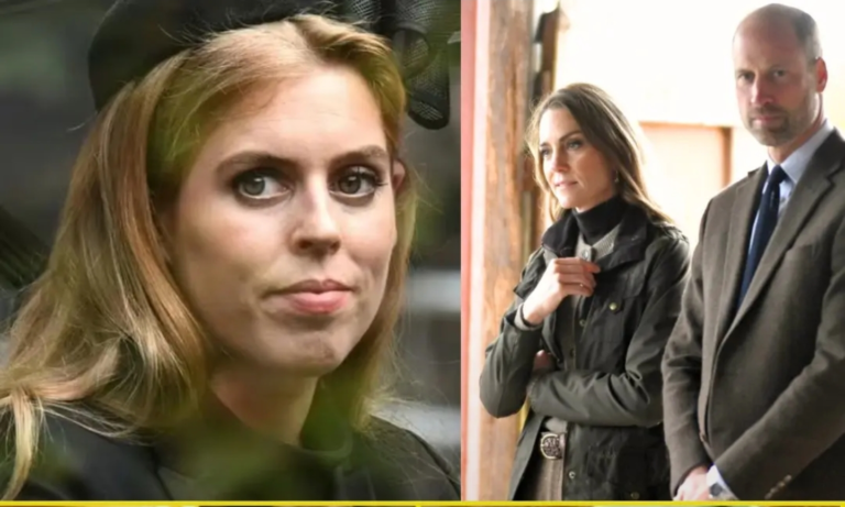 Screenshot_20251126-145107_Lite