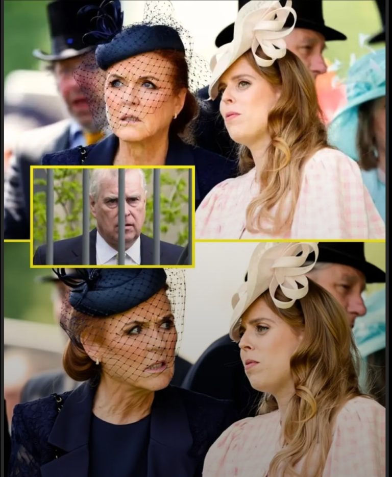 Screenshot_20251126-194220_Lite