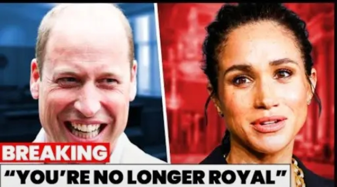 Screenshot_20251128-180334_Lite