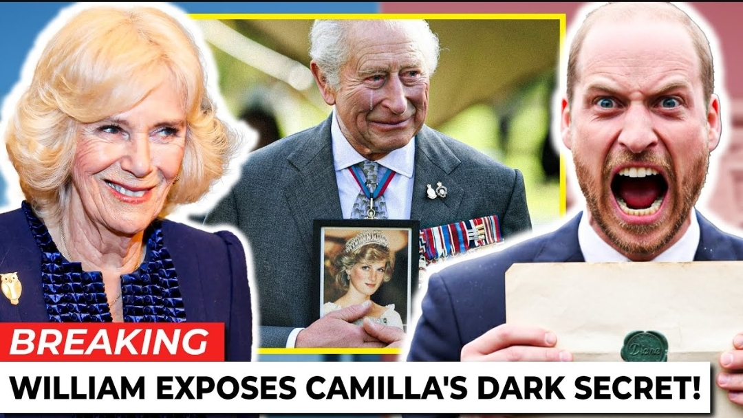 Screenshot_20251128-201825_Opera Mini