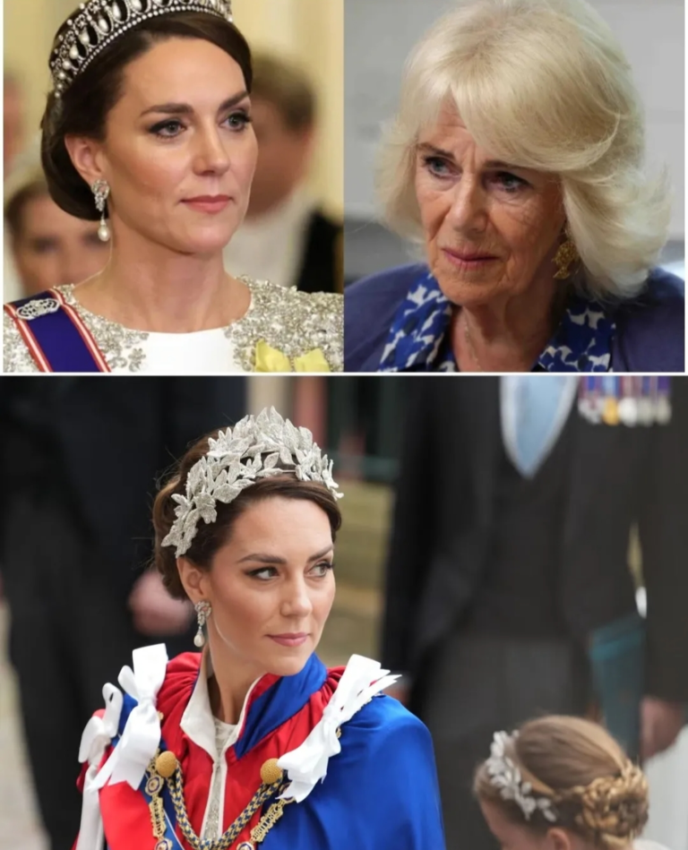 Screenshot_20251128-204633_Opera Mini