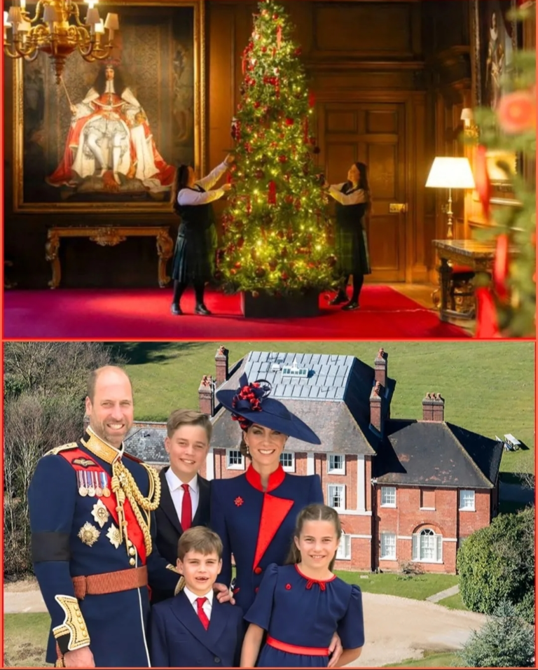 Screenshot_20251129-075021_Opera Mini