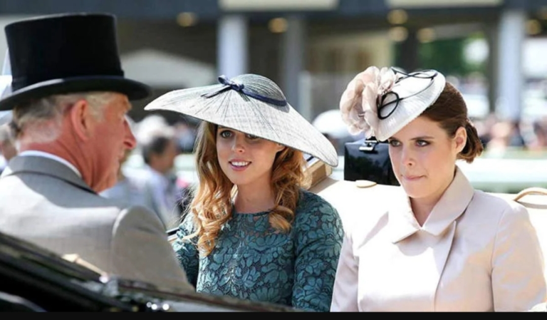 Screenshot_20251129-085622_Opera Mini