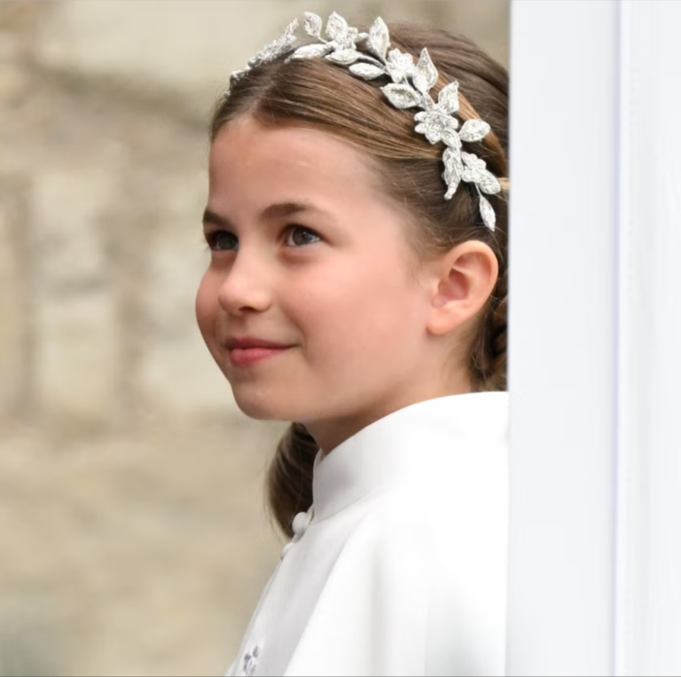 Screenshot_20251129-111933_Opera Mini