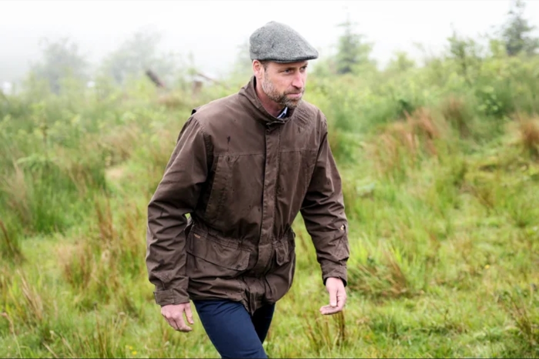 Screenshot_20251129-130514_Opera Mini