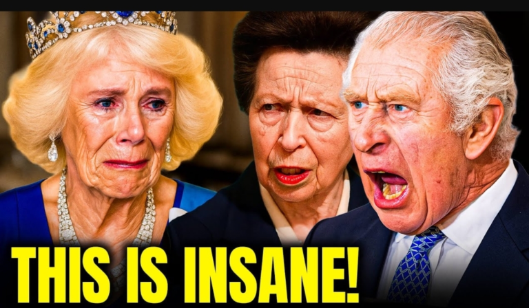 Screenshot_20251129-131914_Opera Mini