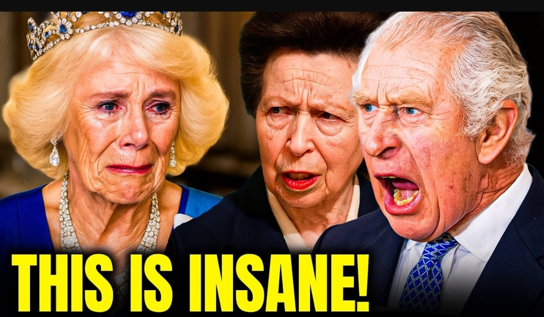 Screenshot_20251129-131914_Opera Mini