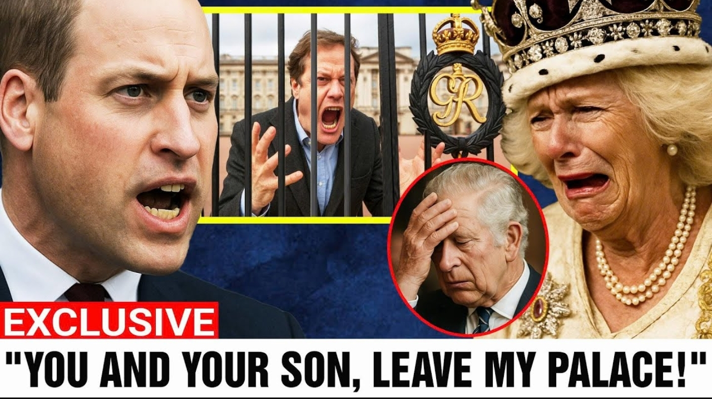 Screenshot_20251129-210735_Opera Mini