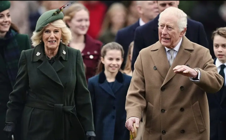 Screenshot_20251130-170738_Lite