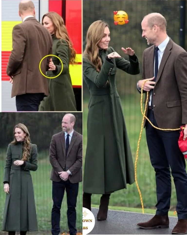 image_editor_output_image1333188821-1764419591421