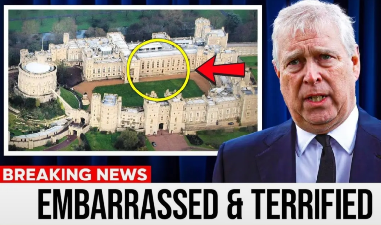 image_editor_output_image1739697292-1763729443821