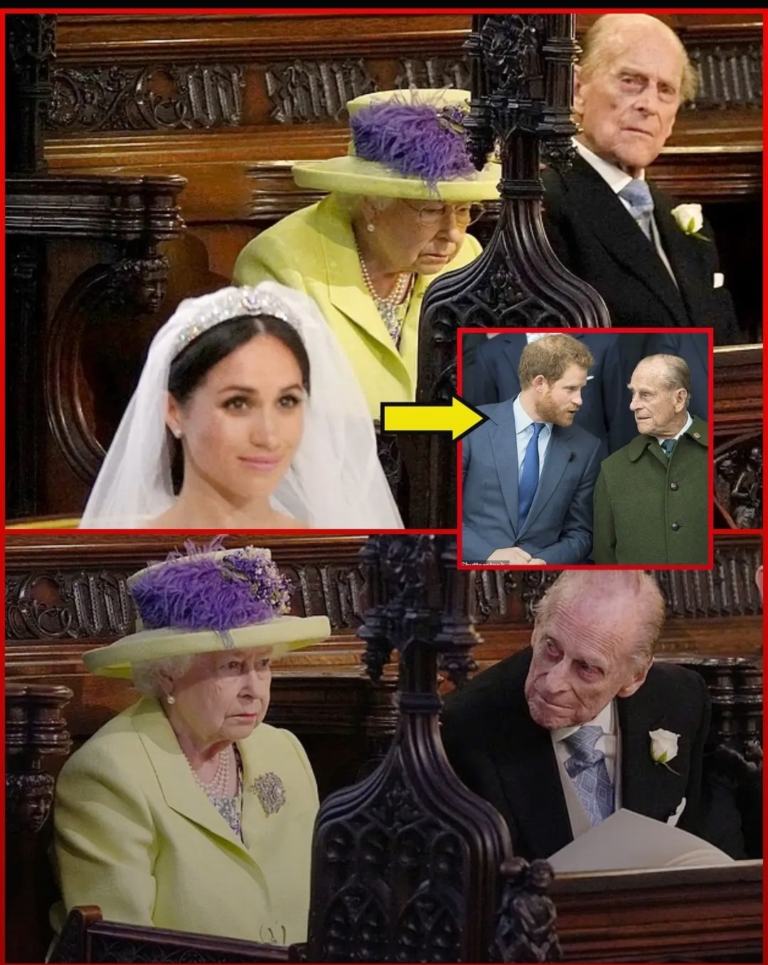 image_editor_output_image1924713231-1764353299532