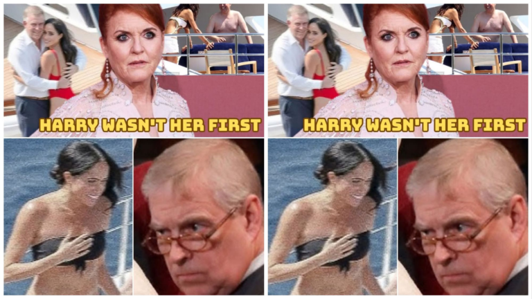 inshot_20251124_1935529443535544443427732607