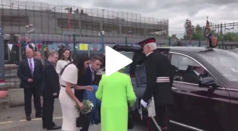 inshot_20251129_1425278946960802622237474883